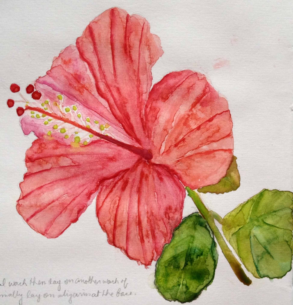 Watercolor Flowers: Learn to Paint in Loose and Expressive Style