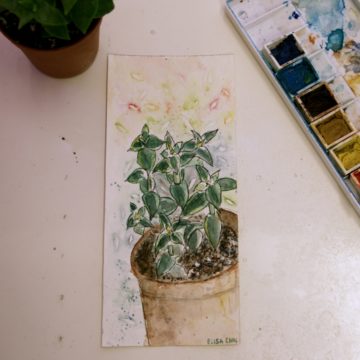 Cactus Line and Wash Video